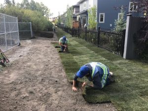 How Caring for the Environment Saves Your Project Money - Erosion Control - Erosion Control Experts Calgary